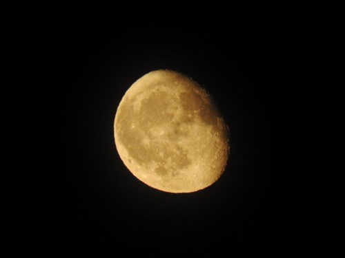 DSCN1130