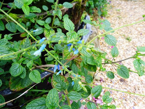 P1020284