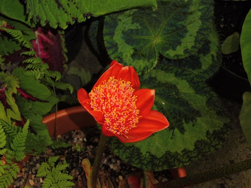 P1020294 (1)