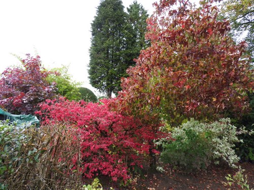 DSCN1140