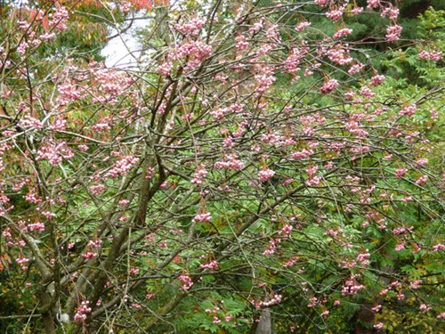 P1040325