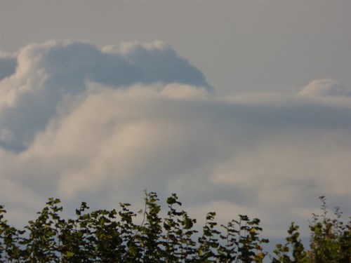 P1040346