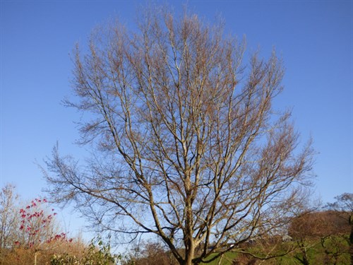 P1040472