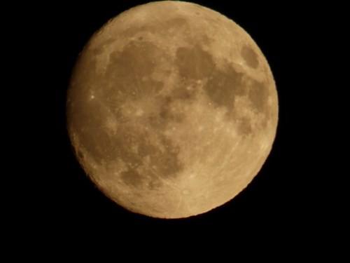 P1040515