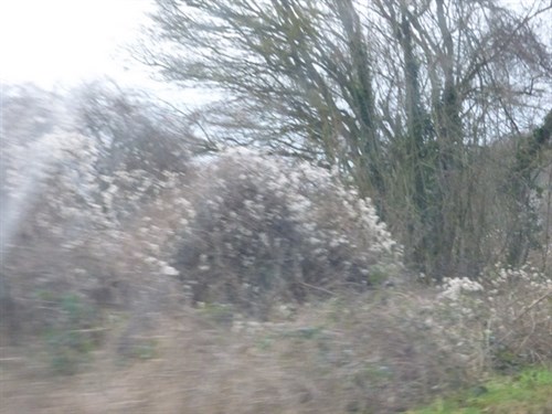 P1040692