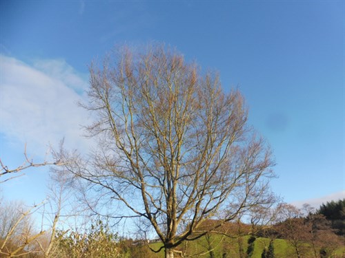 P1030399