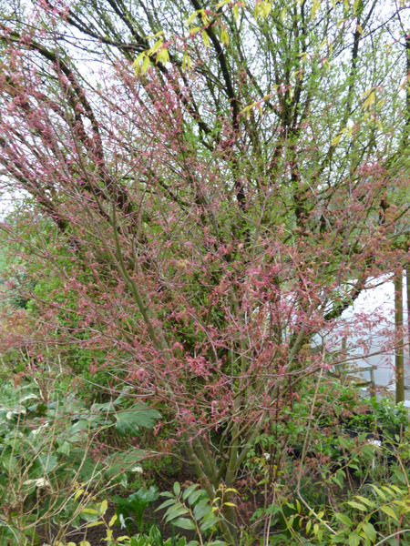 P1050232