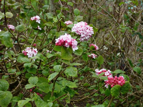 P1050129