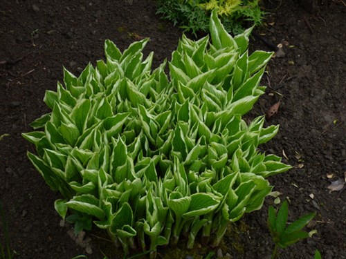 P1050224