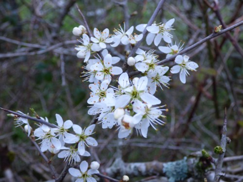 P1050145