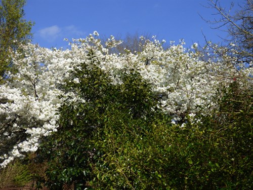 P1050052