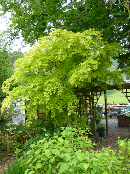 P1050495