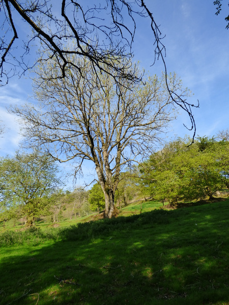 P1050467