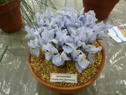 P1030554