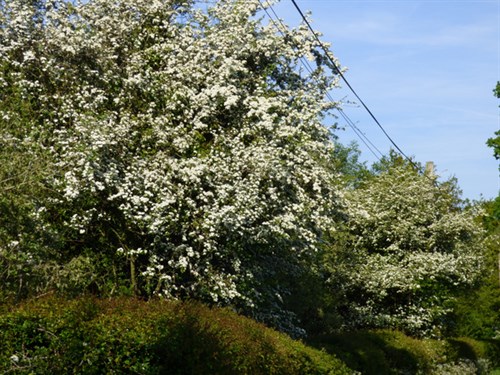 P1050473