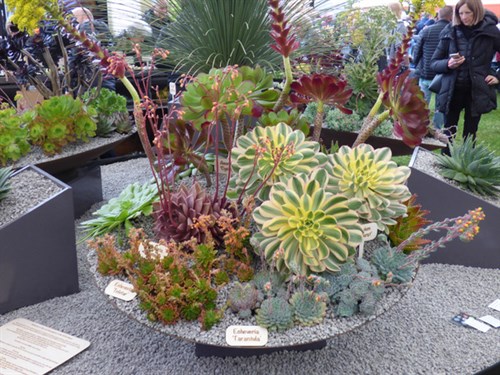 P1050405