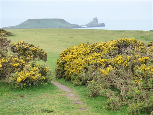 P1050324