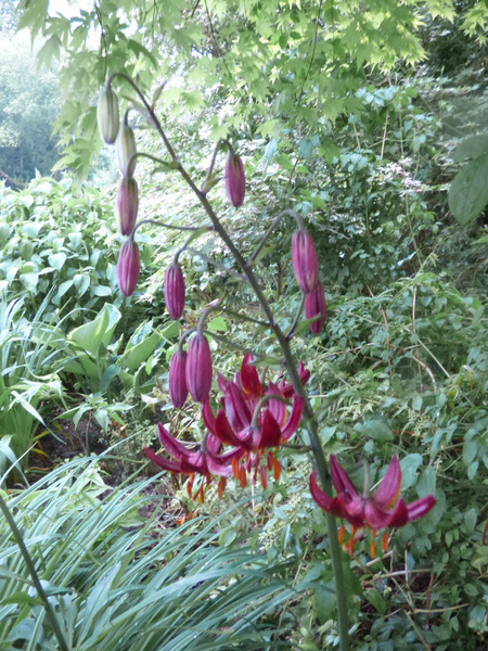 P1050873