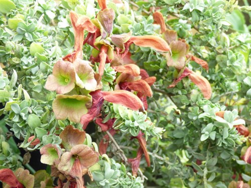 P1050807