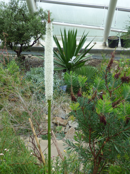 P1050658