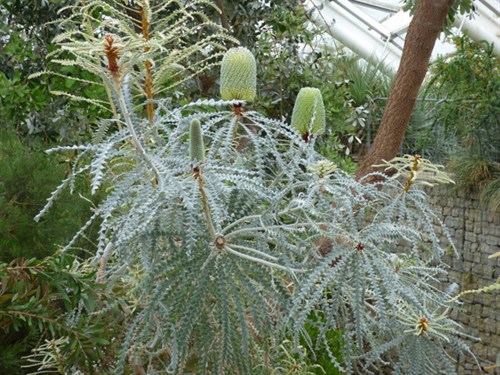 P1050655