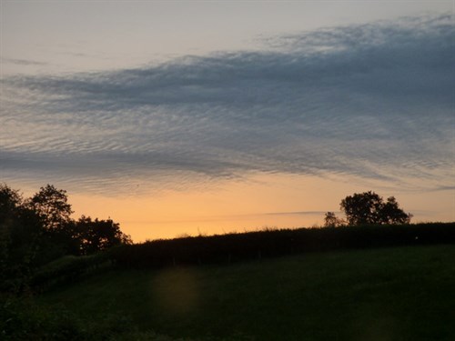 P1050935