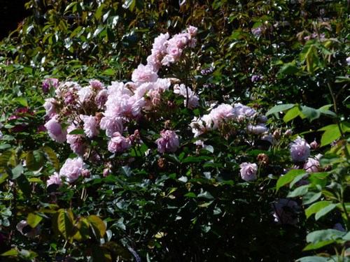 P1050955