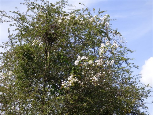 P1060020