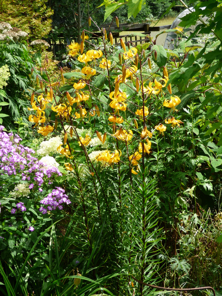 P1060201
