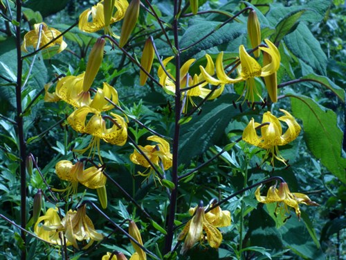 P1060202