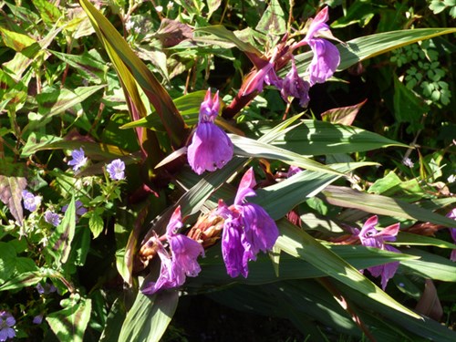 P1060591