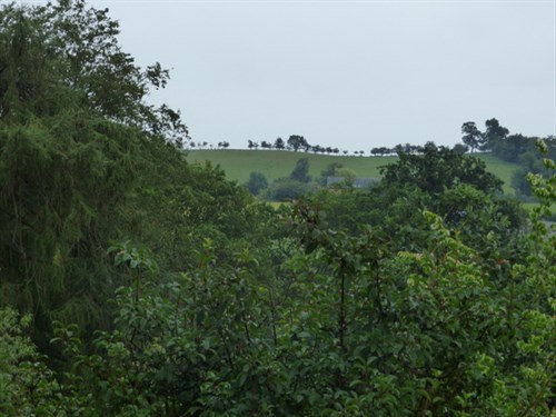 P1060313