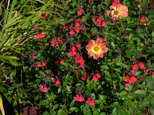 P1070059