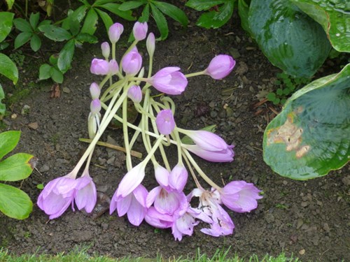 P1060880
