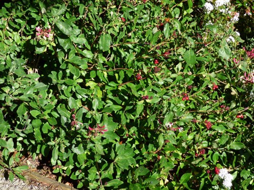 P1060969