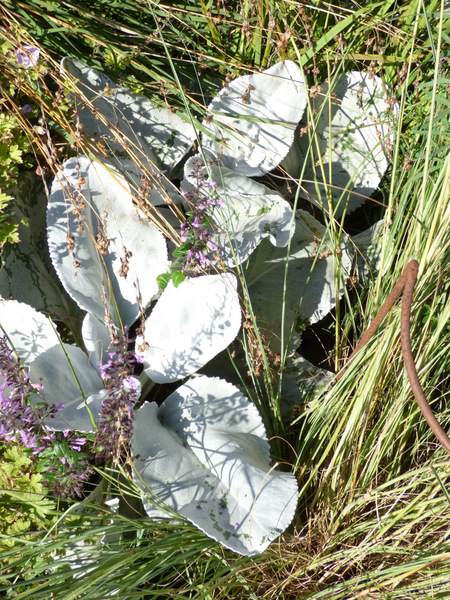 P1070003
