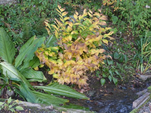 P1070614