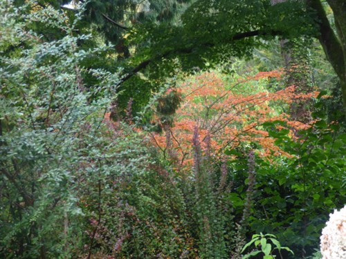 P1070548