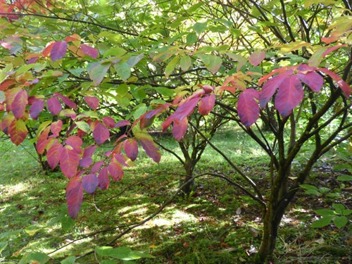 P1070572