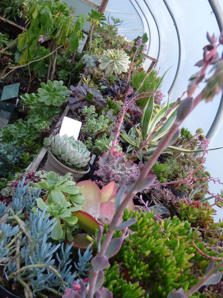 P1070861