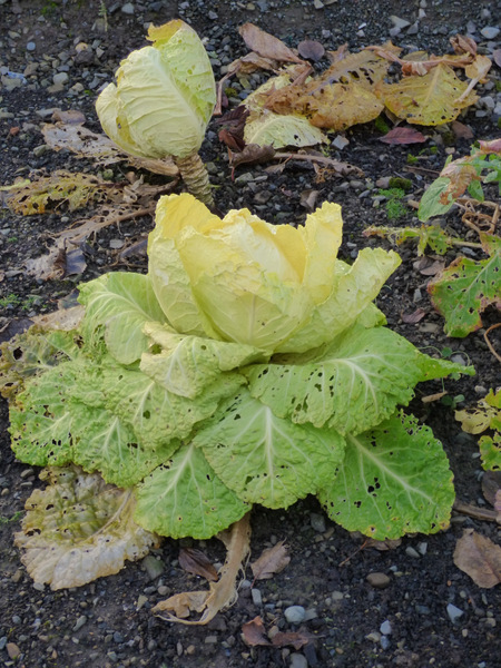 P1070883
