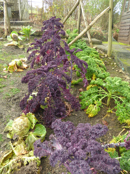 P1070889
