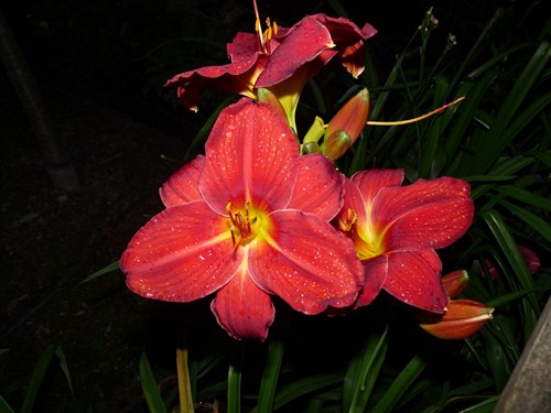 P1040451