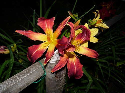 P1040447