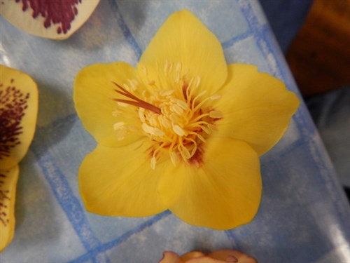 DSCN0275