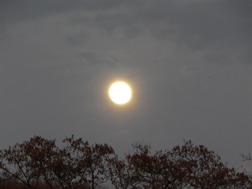 DSCN0071