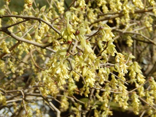 DSCN0075