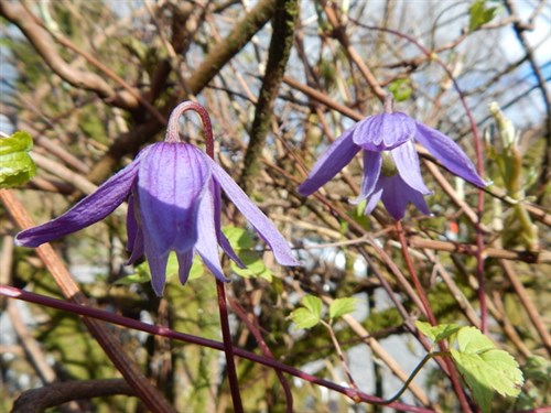 DSCN0148
