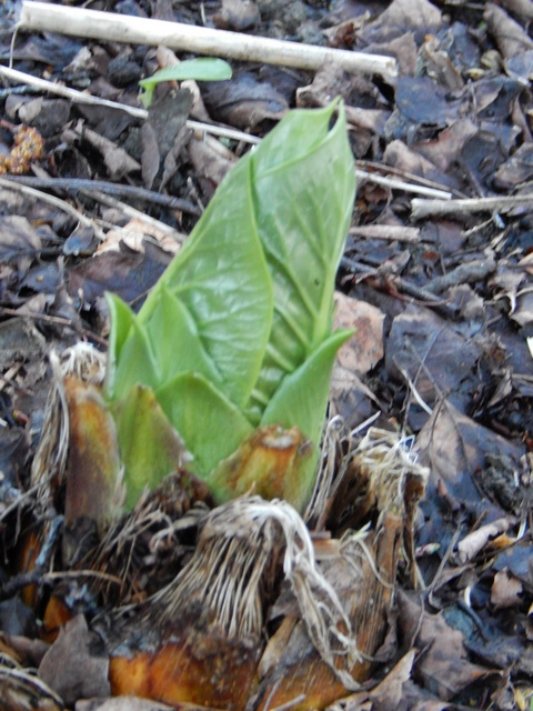 DSCN0140