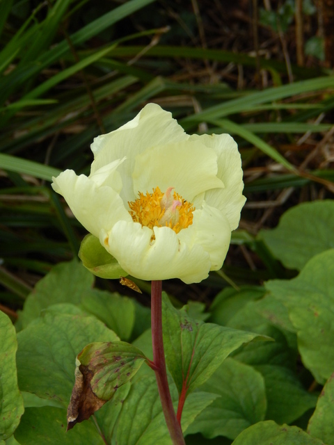 DSCN0355